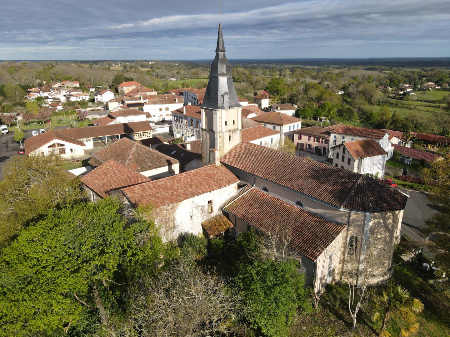 DJI_0291_resize.jpg