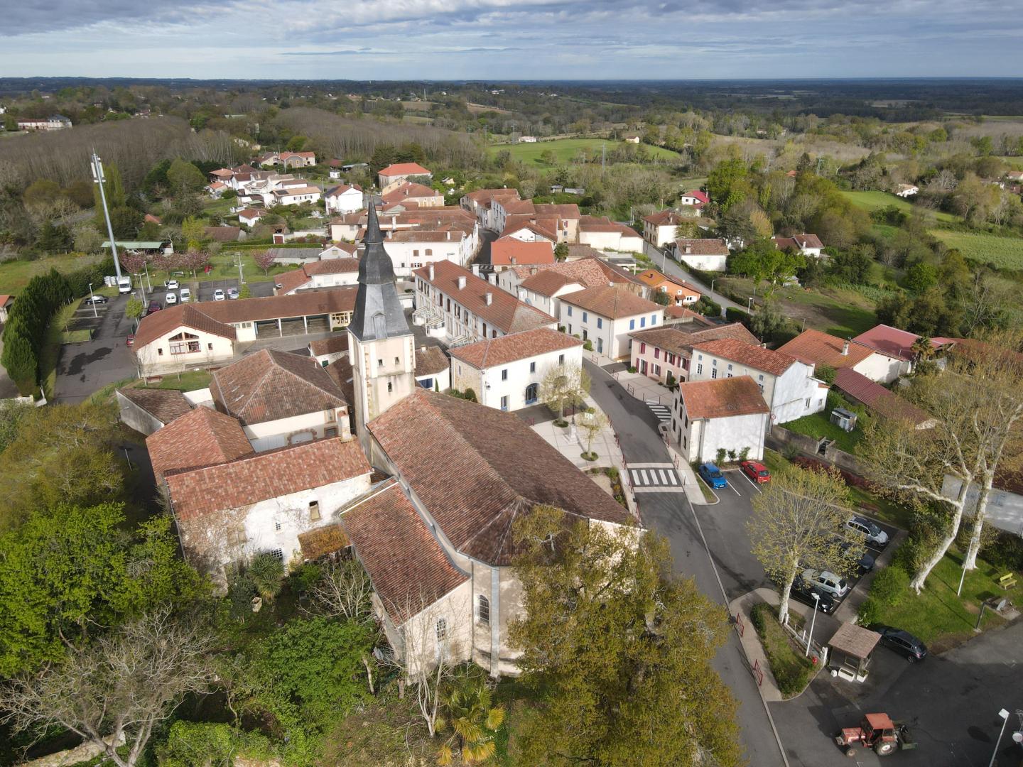 DJI_0303_resize.jpg